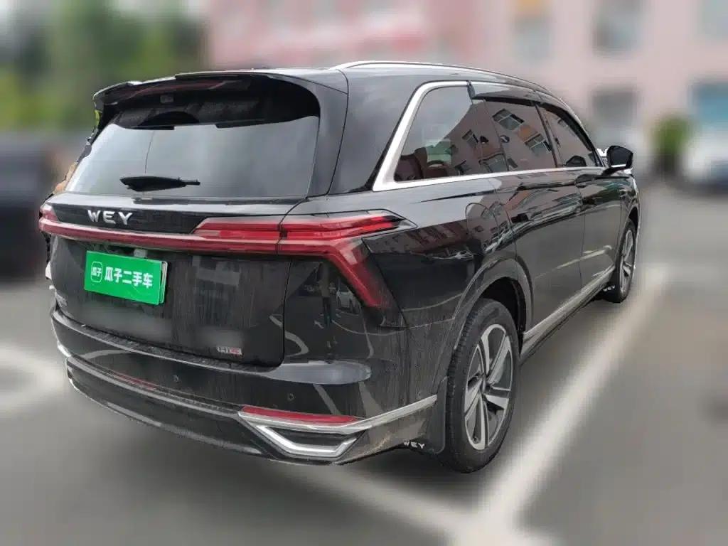 Weipai Blue Mountain 2025 4WD Max — миниатюра 5