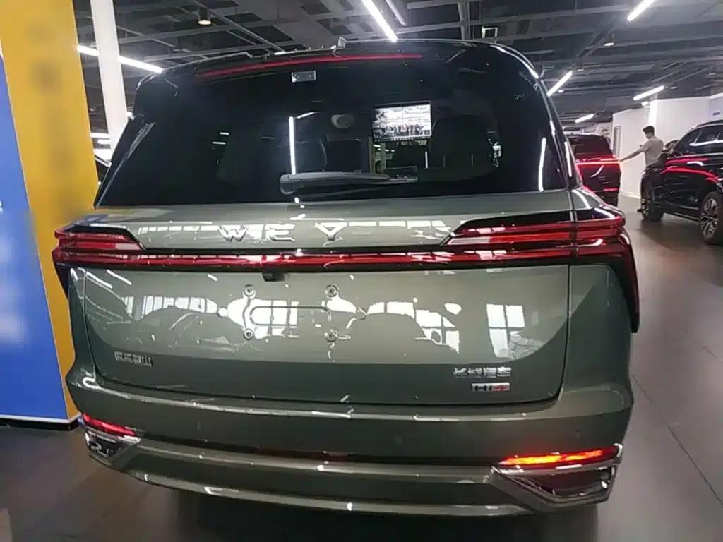 Weipai Blue Mountain 2025 4WD Max — миниатюра 6