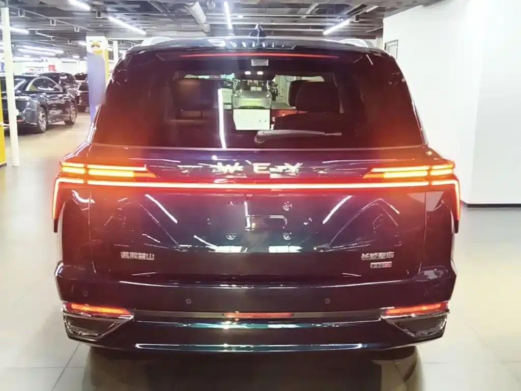 Weipai Blue Mountain 2025 4WD Max — миниатюра 6