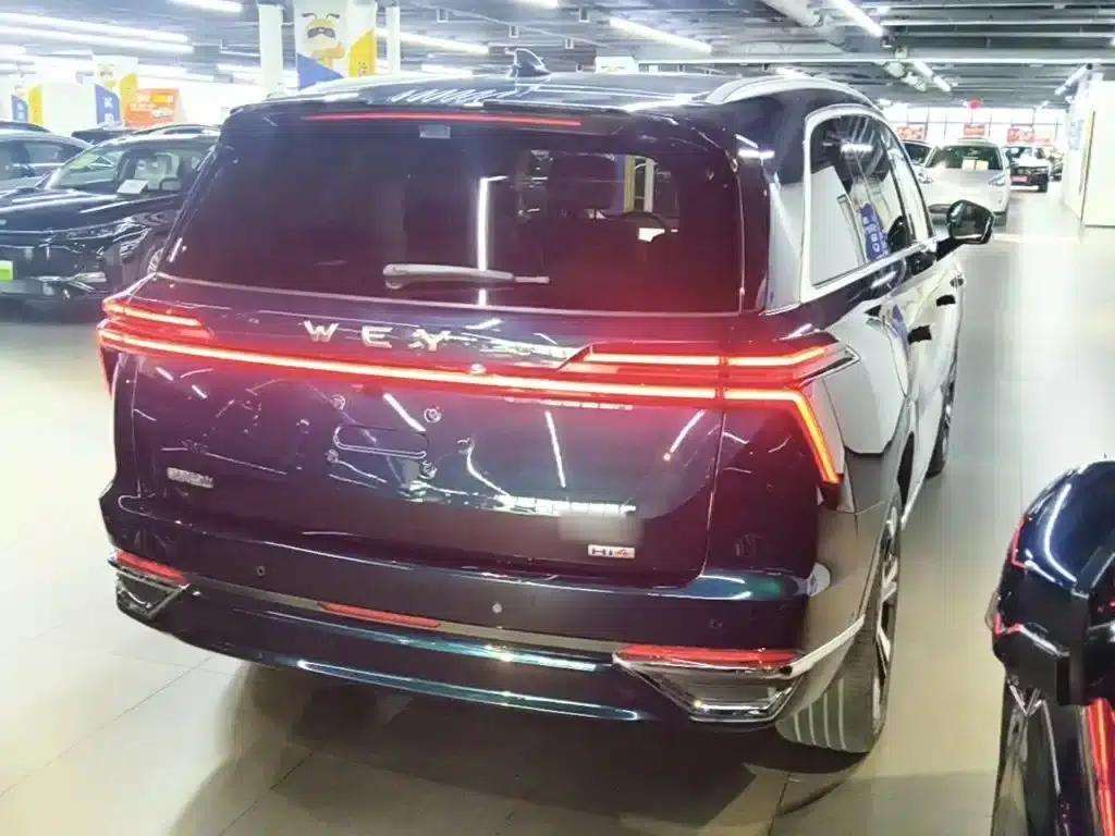 Weipai Blue Mountain 2025 4WD Max — миниатюра 7