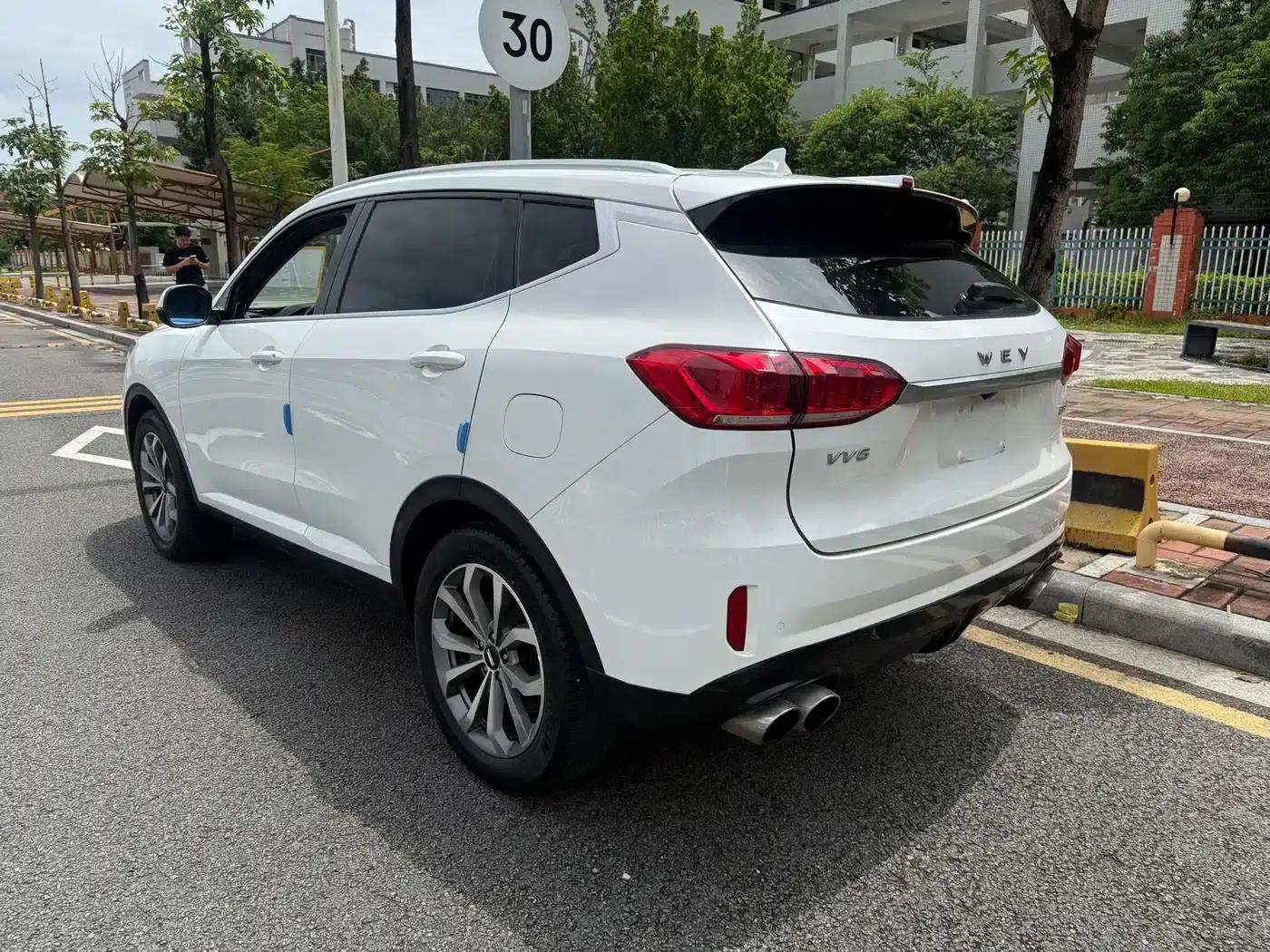 Wey VV6 2018 2.0T 2WD Super Luxury Edition (National V Emission Standard) — миниатюра 8
