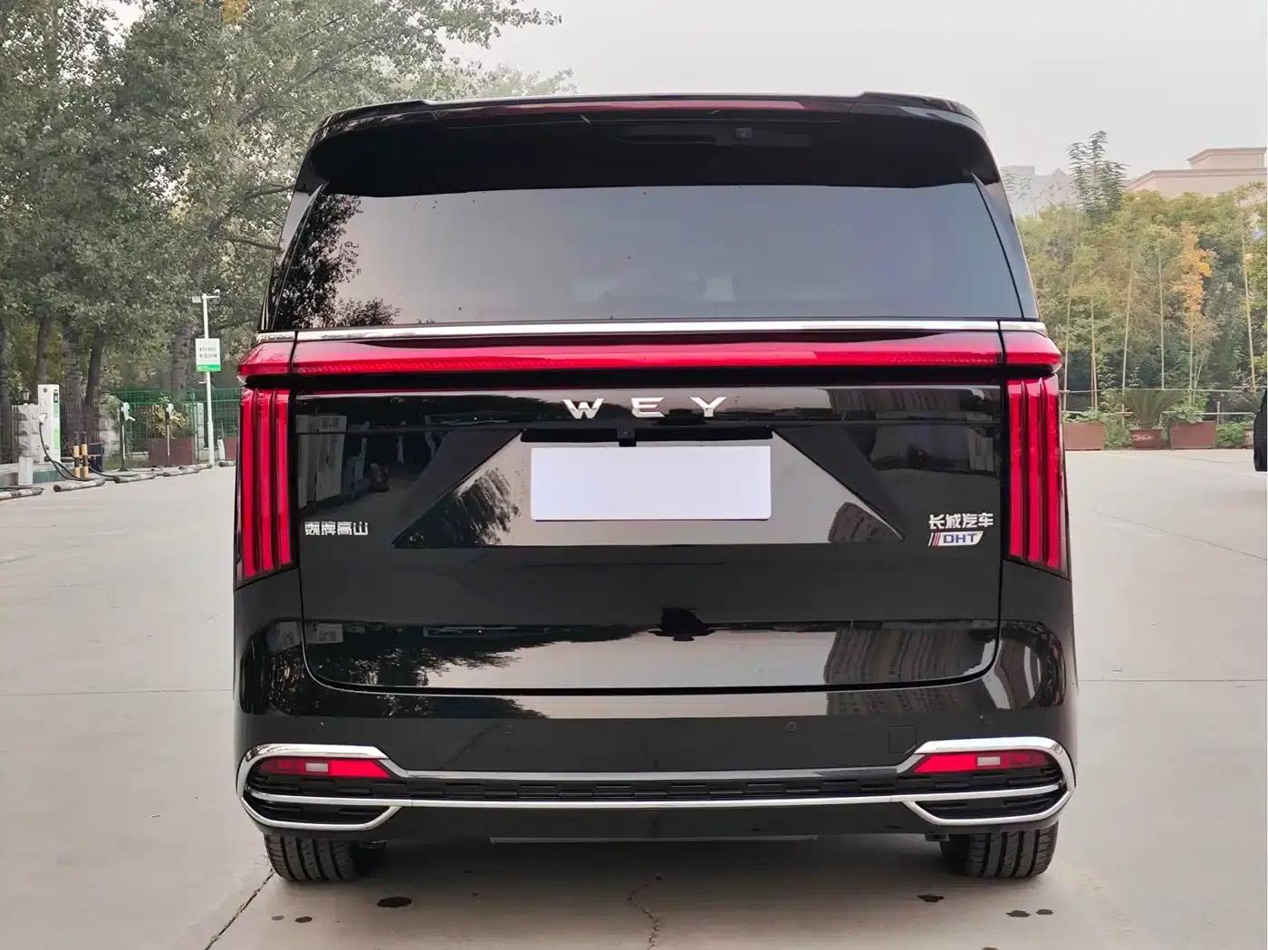 Weipai Gaoshan 2023 Four-Wheel Drive Flagship Edition — миниатюра 9