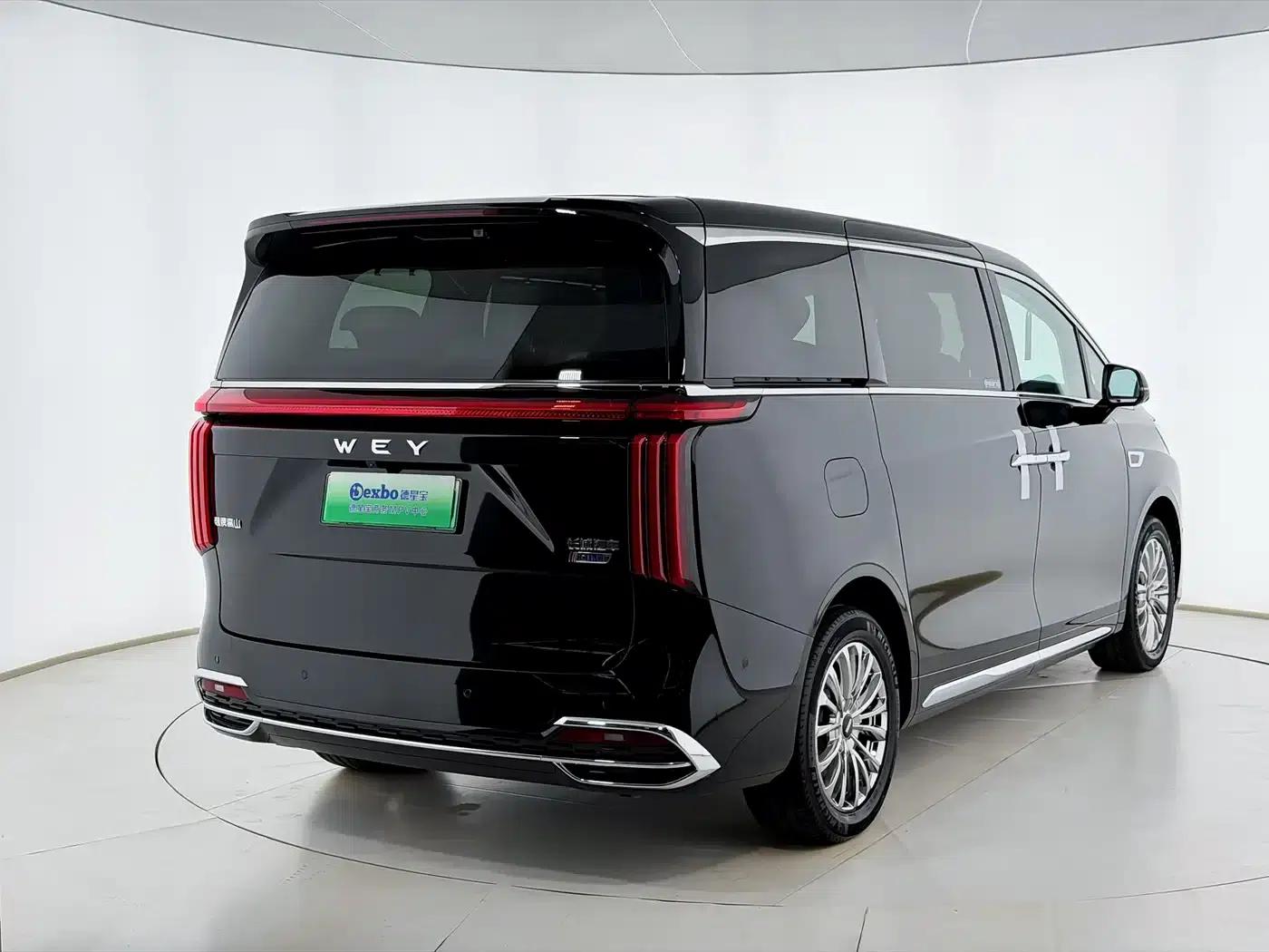 Weipai Gaoshan 2023 Four-Wheel Drive Flagship Edition — миниатюра 3