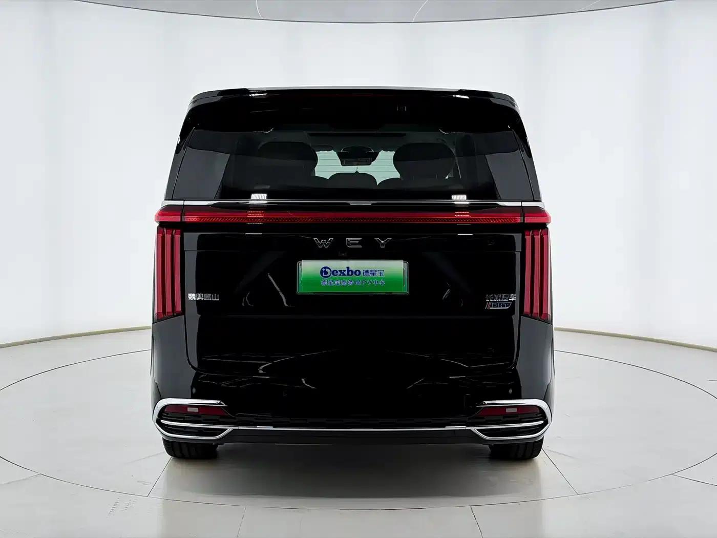 Weipai Gaoshan 2023 Four-Wheel Drive Flagship Edition — миниатюра 5