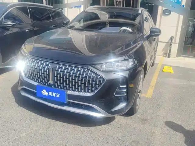 Wey brand Mocha 2021 2.0T 2WD Special Edition