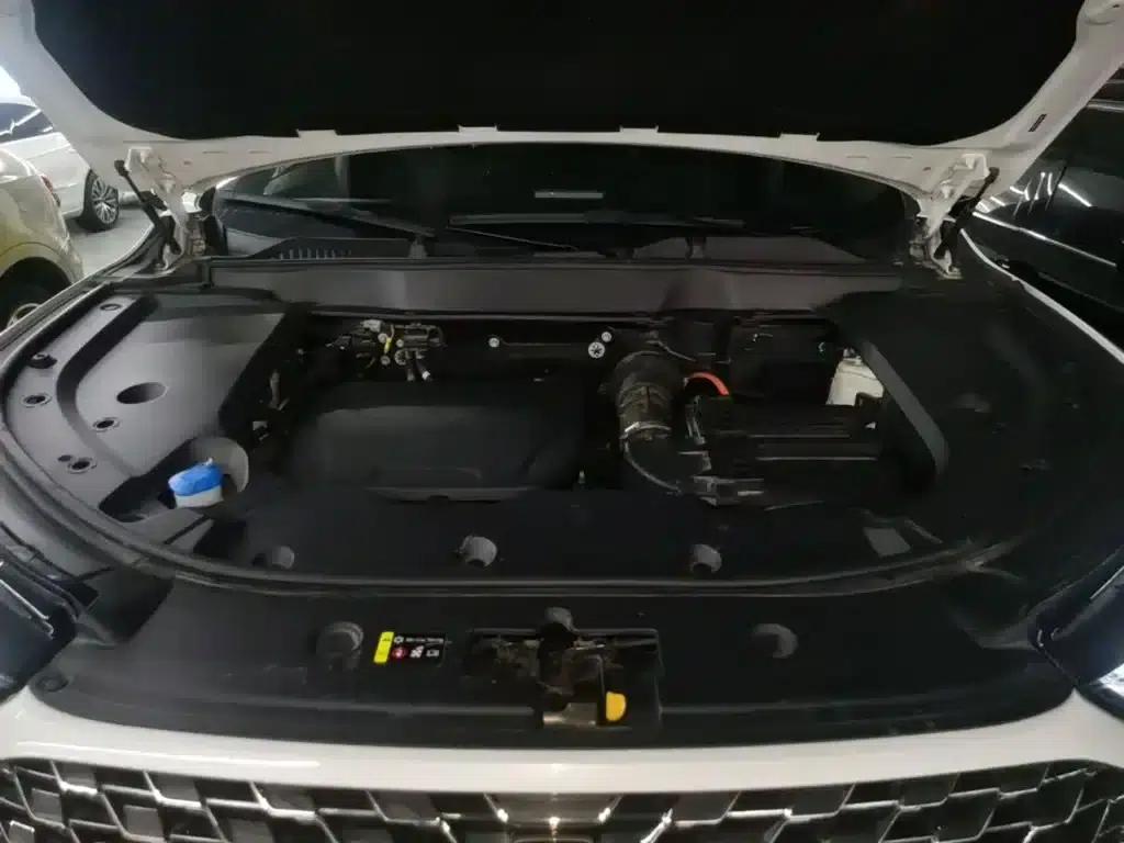 Weipai Latte DHT-PHEV 2022 1.5T 2WD Super Large Edition — миниатюра 20