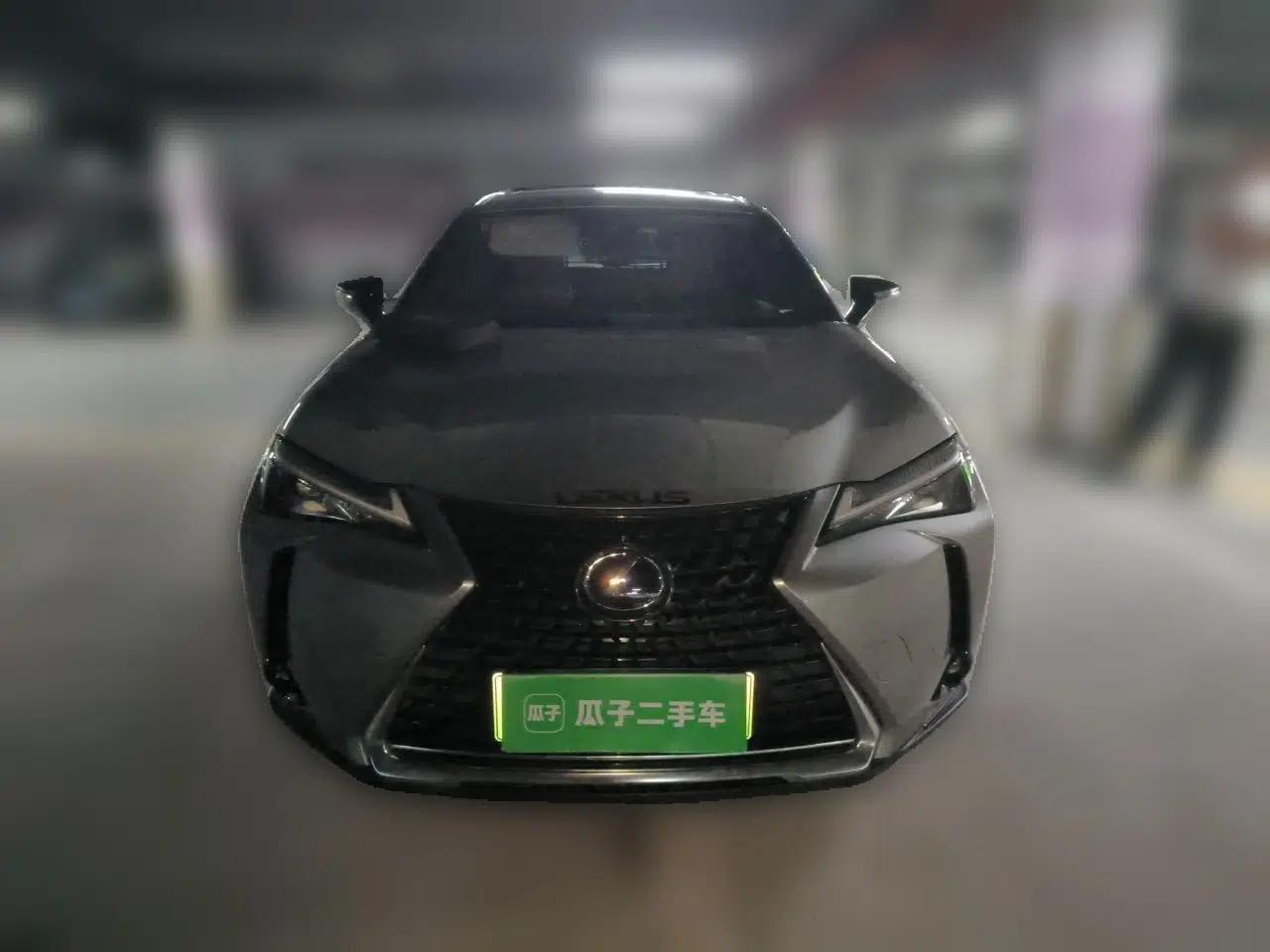 Lexus UX New Energy 2020 300e Pure·Joy Edition — миниатюра 2
