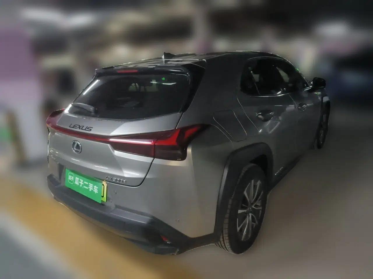 Lexus UX New Energy 2020 300e Pure·Joy Edition — миниатюра 6