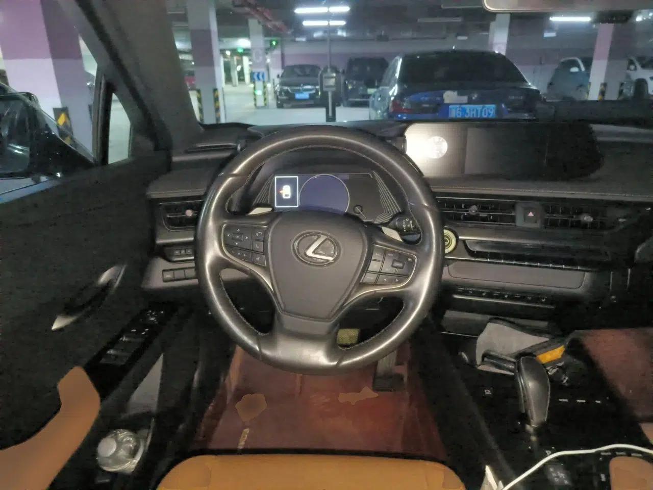 Lexus UX New Energy 2020 300e Pure·Joy Edition — миниатюра 10