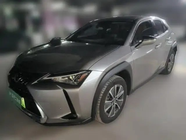 Lexus UX New Energy 2020 300e Pure·Joy Edition