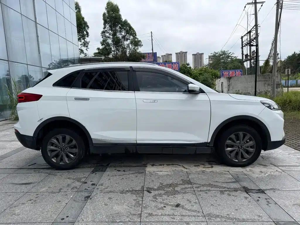Weltmeister EX5 2020 EX5 400 (Immediate Customer Edition) — миниатюра 8