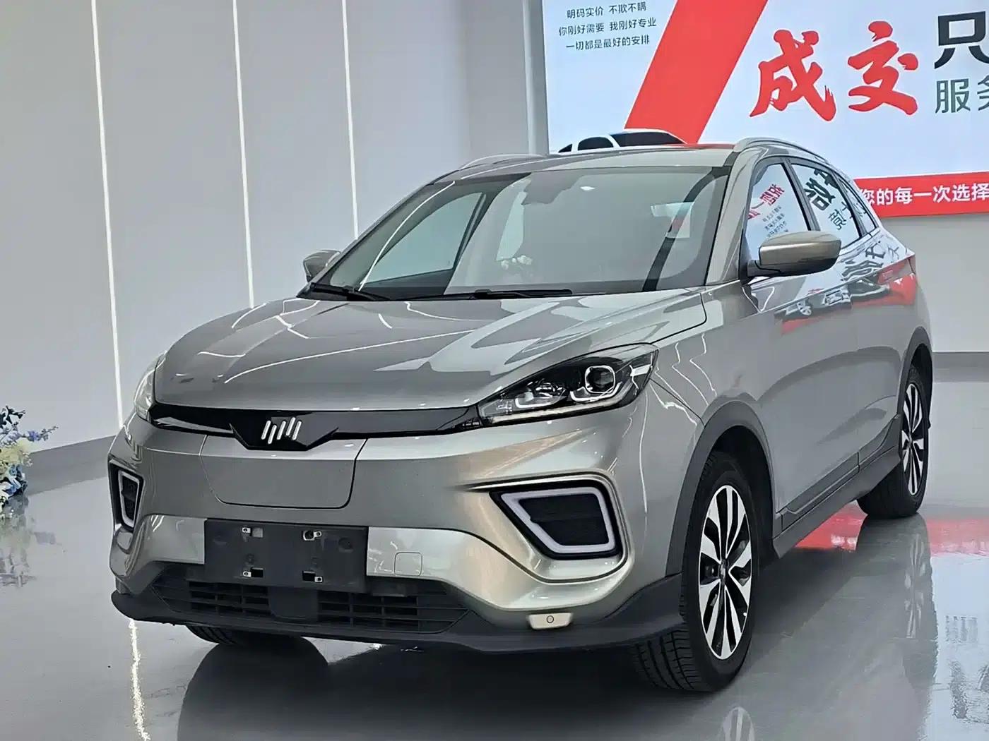 Weltmeister EX5 2020 EX5-Z Fun Dynamic Edition — миниатюра 1