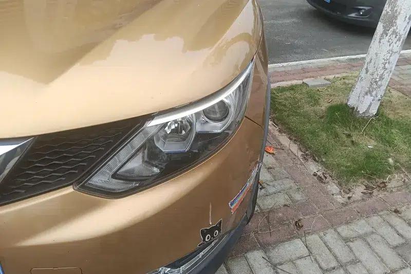Nissan Qashqai 2017 2.0L CVT Elite Edition (National V Emission Standard) — миниатюра 4