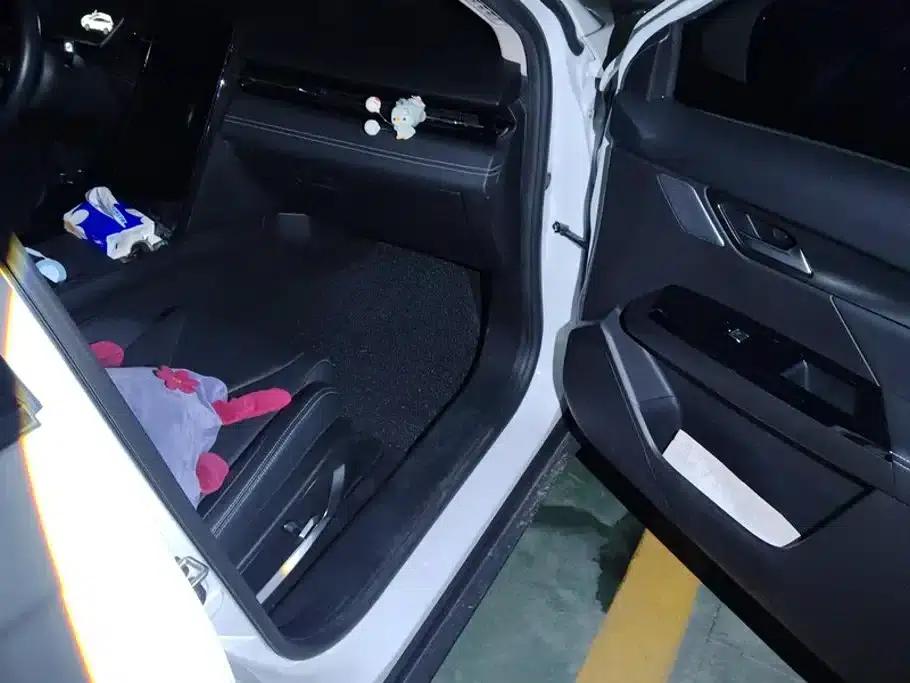 XPeng G3 2019 Premium Edition — миниатюра 8