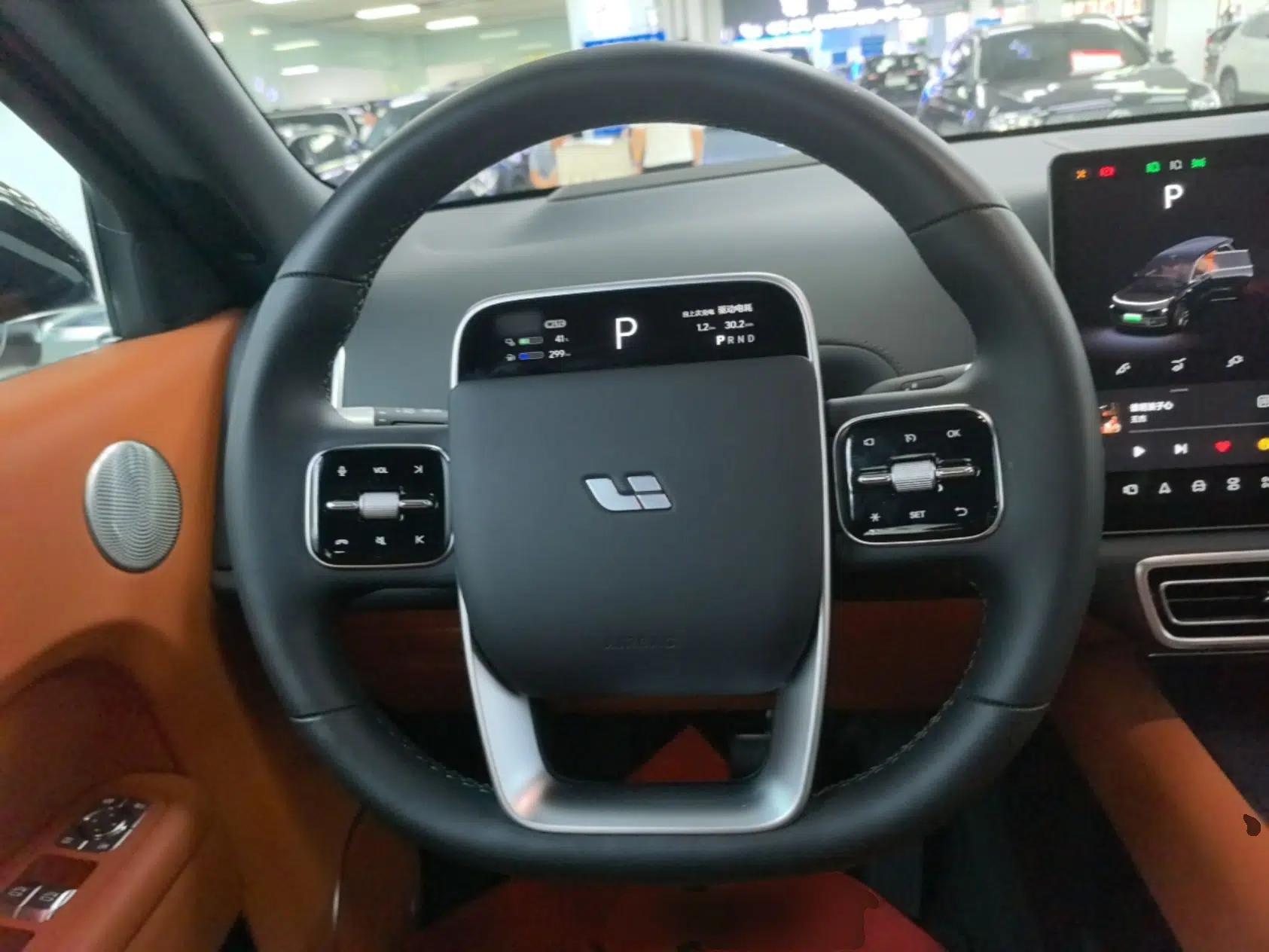 Li Auto L9 2022 Max model — миниатюра 13