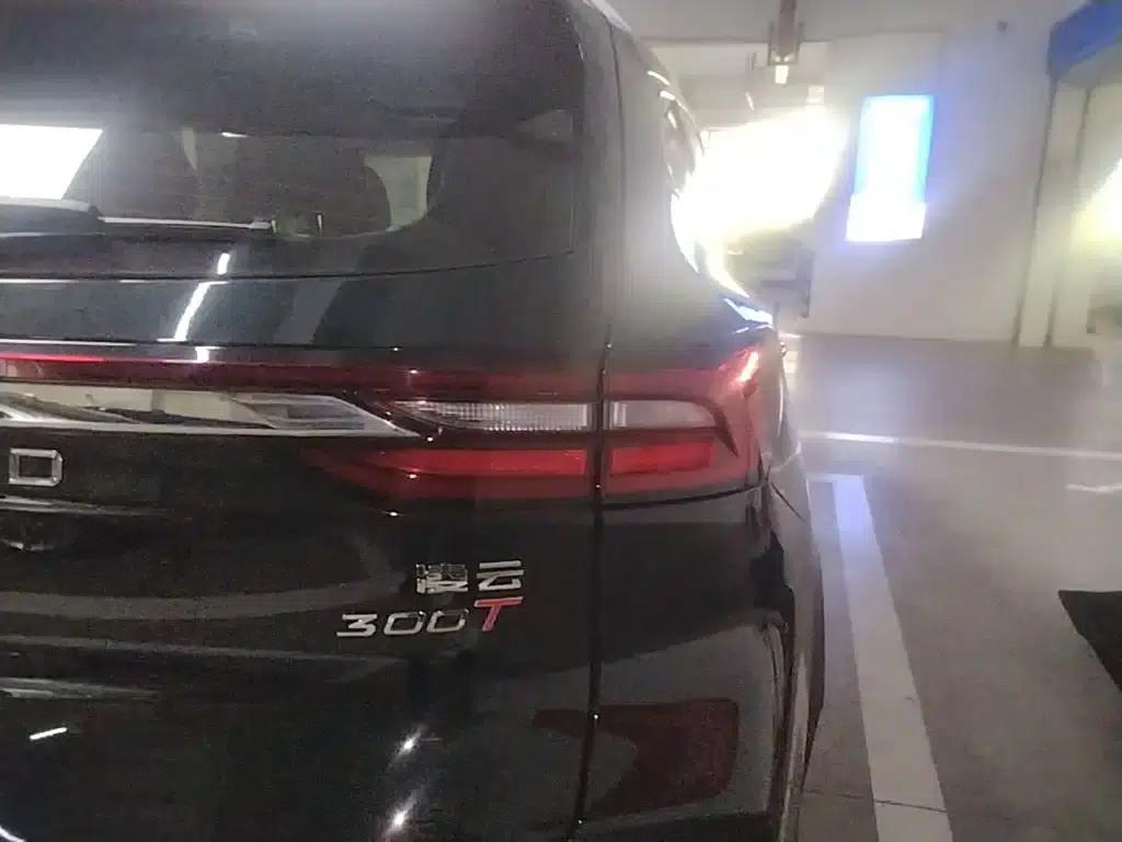 Exeed Soaring 2024 300T 2WD Star Edition — миниатюра 8