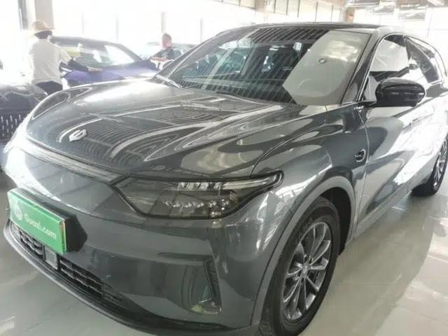 Leapmotor C11 2023 Pure Electric 500 Comfort Edition