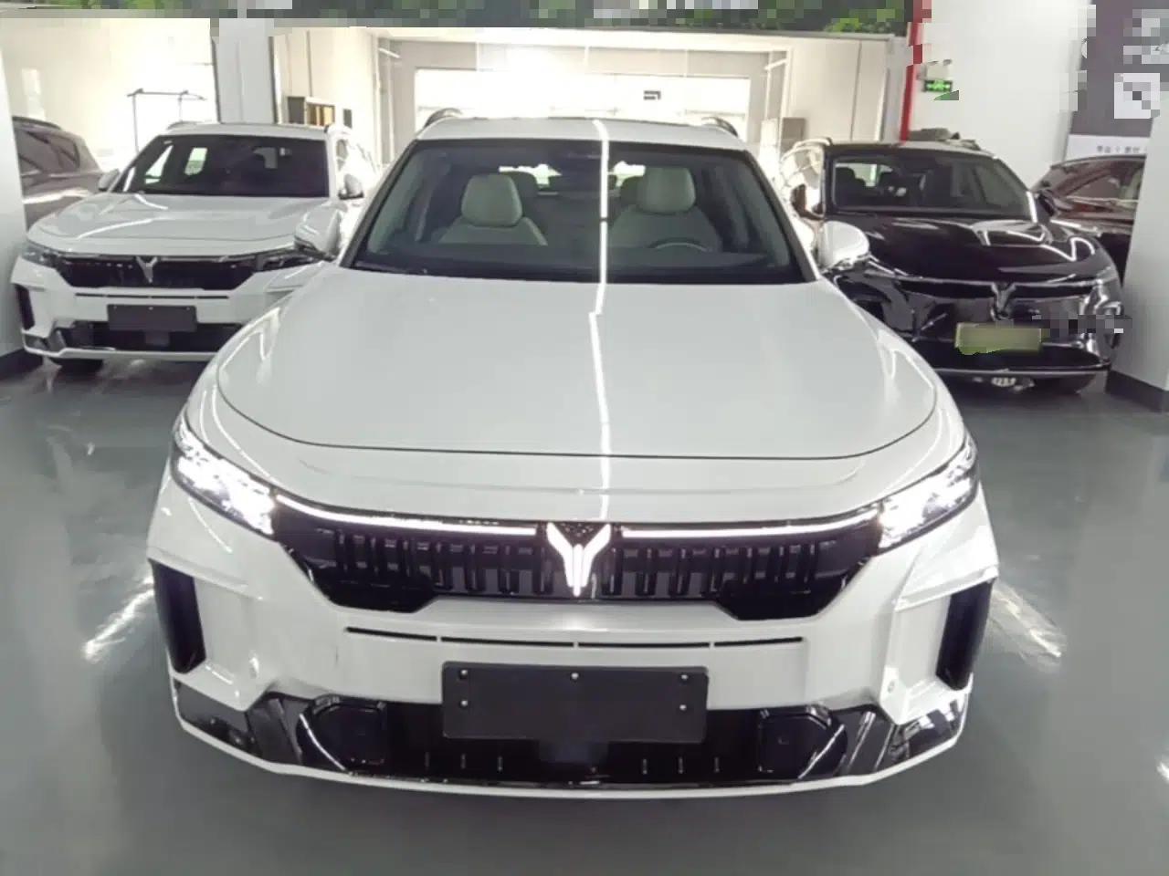 VOYAH FREE 2025 318 259 km All-Wheel-Drive Exploration Edition — миниатюра 2