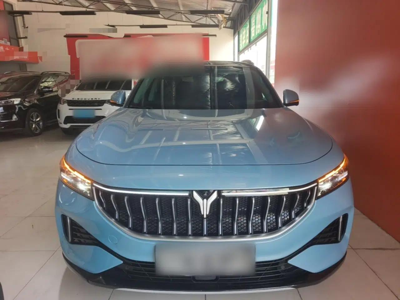 VOYAH FREE 2021 Four-Wheel Drive Standard All-Electric Exclusive Luxury Package — миниатюра 2
