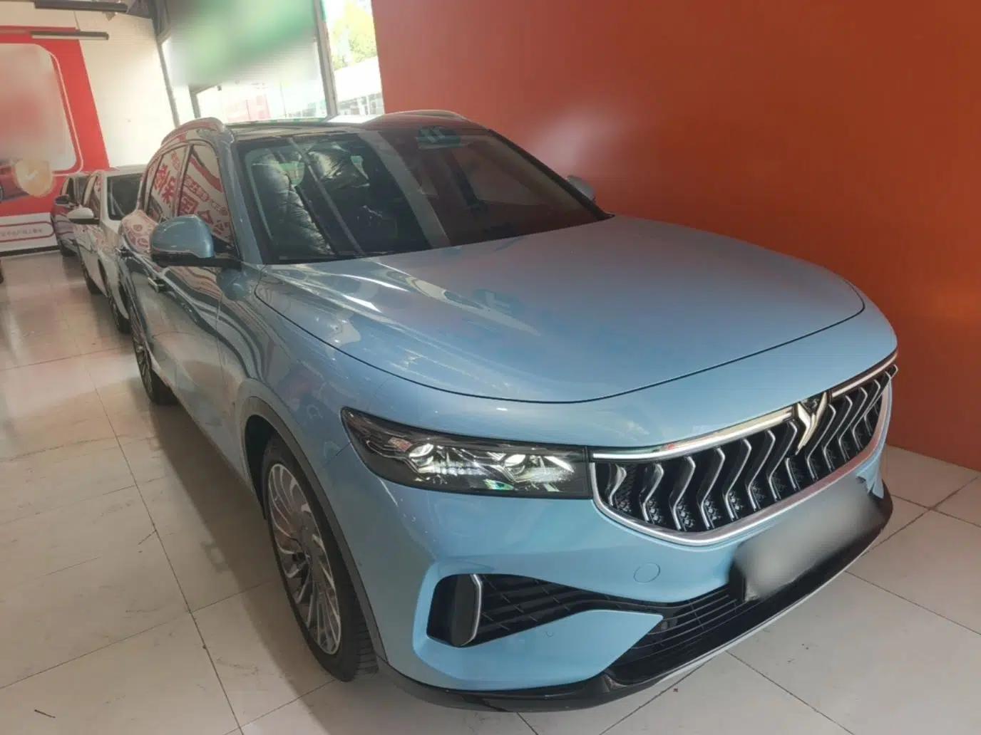 VOYAH FREE 2021 Four-Wheel Drive Standard All-Electric Exclusive Luxury Package — миниатюра 3