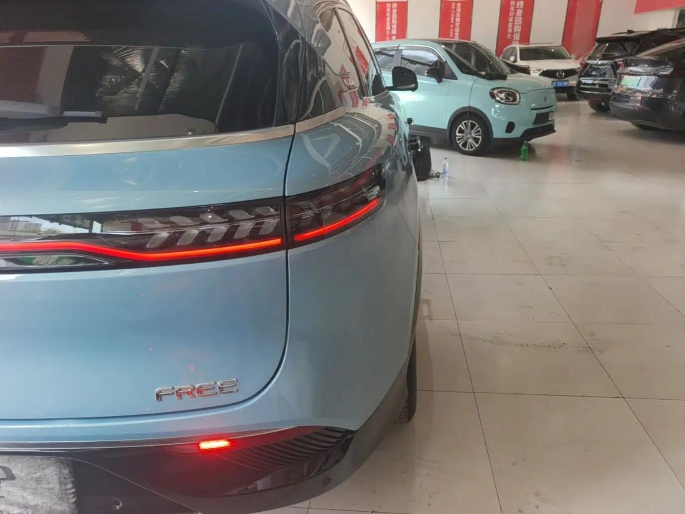 VOYAH FREE 2021 Four-Wheel Drive Standard All-Electric Exclusive Luxury Package — миниатюра 9