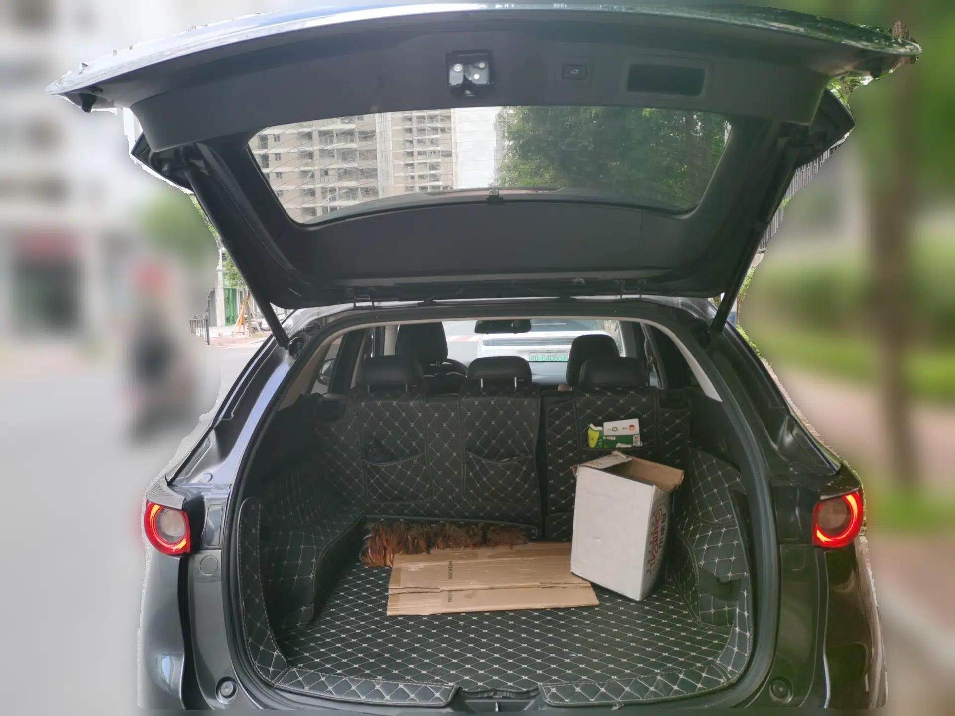 Mazda CX-5 2021 2.0L Automatic Two-Wheel Drive Black Knight — миниатюра 19