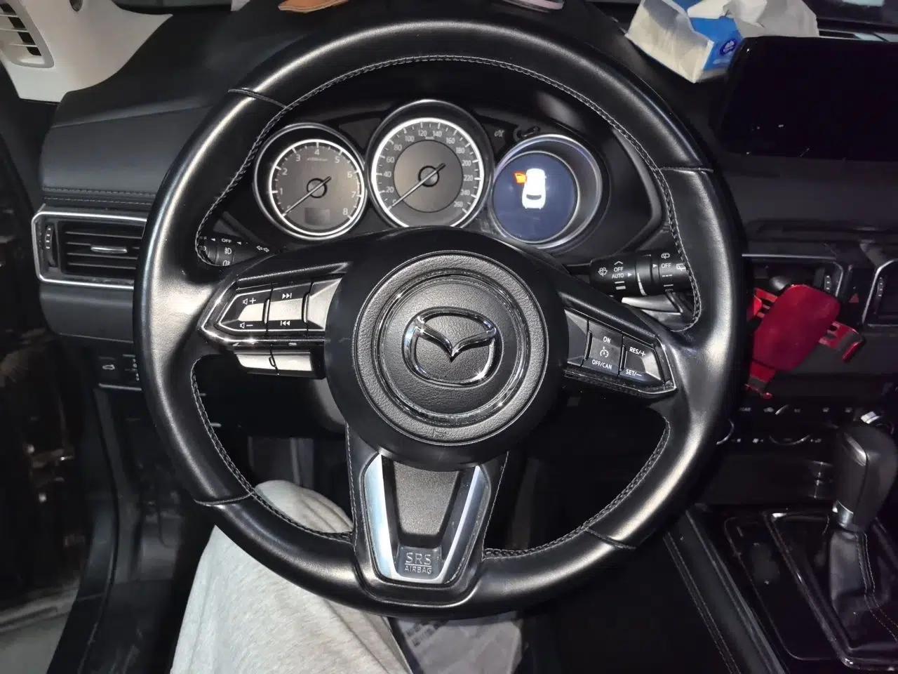 Mazda CX-8 2019 2.5L Four-Wheel Drive Deluxe Edition — миниатюра 10