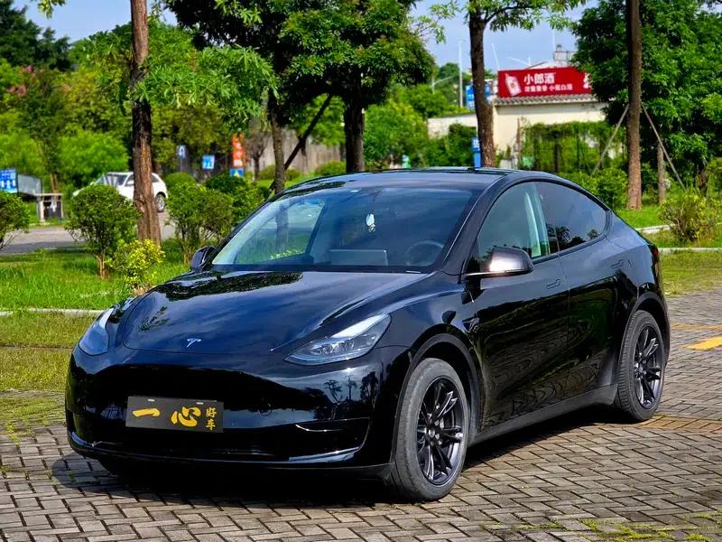 Model Y 2023 Rear-Wheel Drive — миниатюра 1