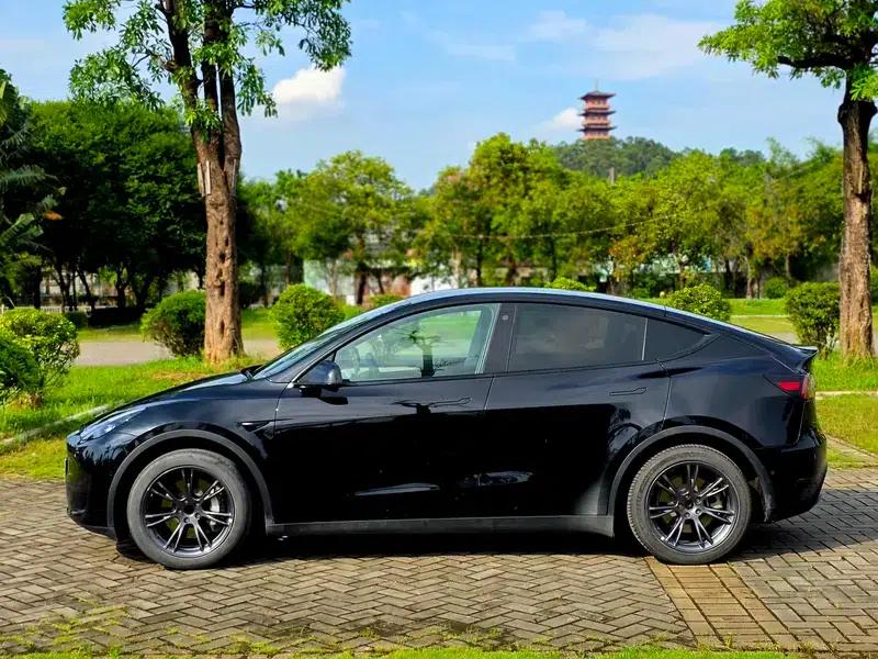 Model Y 2023 Rear-Wheel Drive — миниатюра 4