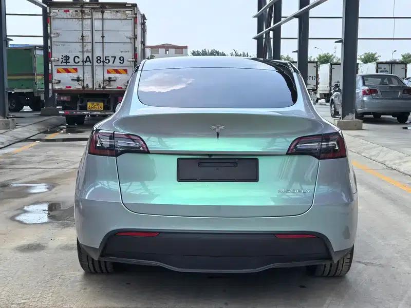 Model Y 2021 Long Range All-Wheel Drive — миниатюра 5