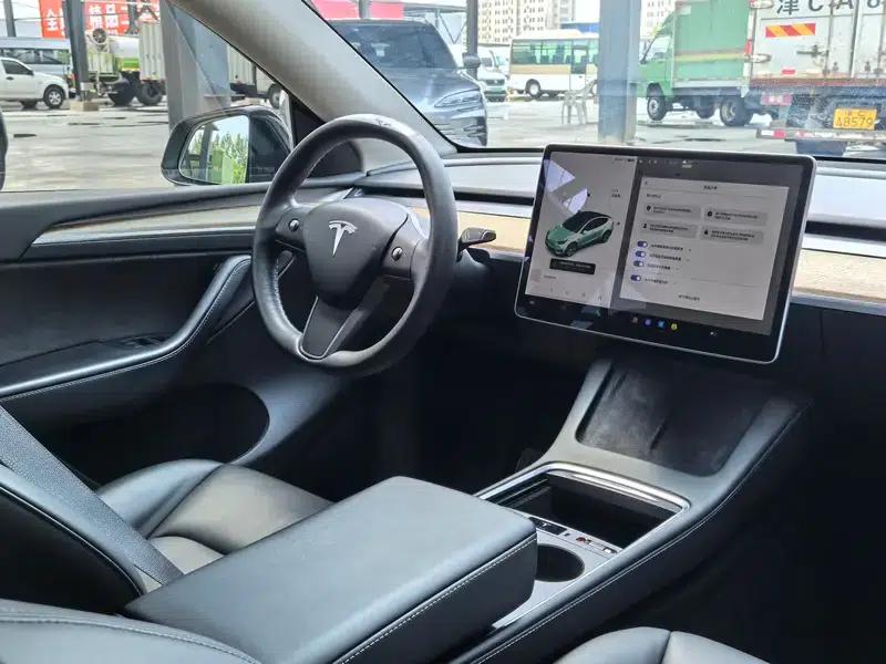 Model Y 2021 Long Range All-Wheel Drive — миниатюра 9
