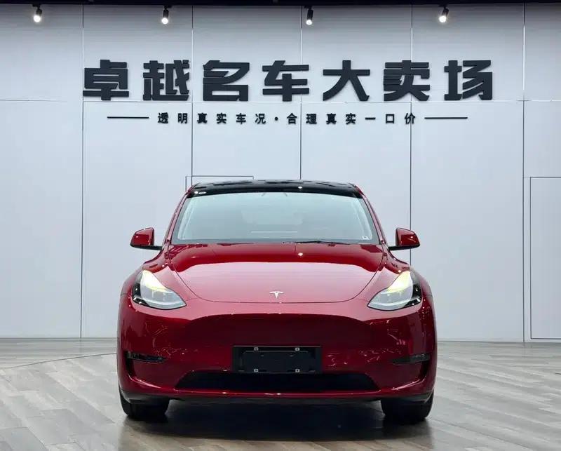 Model Y 2021 Long Range All-Wheel Drive — миниатюра 2