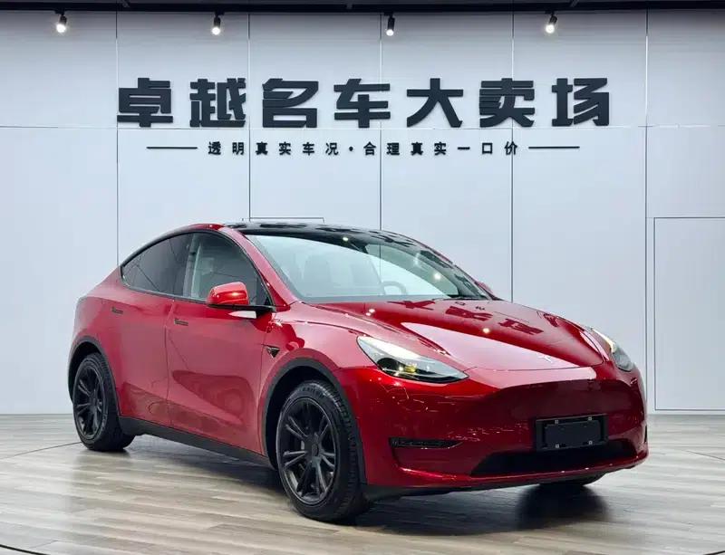 Model Y 2021 Long Range All-Wheel Drive — миниатюра 3