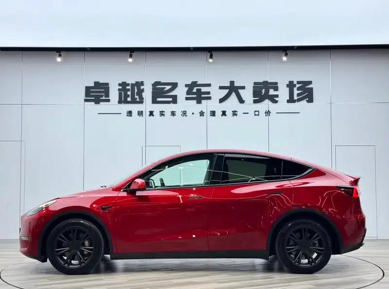 Model Y 2021 Long Range All-Wheel Drive — миниатюра 4