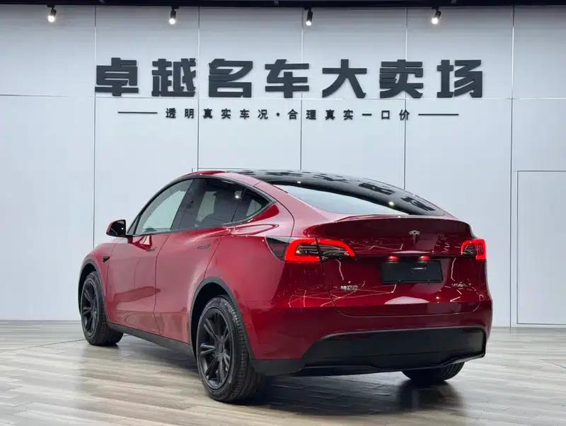 Model Y 2021 Long Range All-Wheel Drive — миниатюра 5