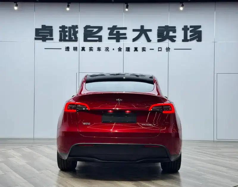 Model Y 2021 Long Range All-Wheel Drive — миниатюра 6