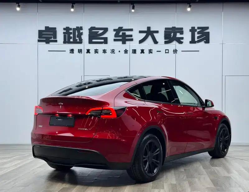 Model Y 2021 Long Range All-Wheel Drive — миниатюра 7