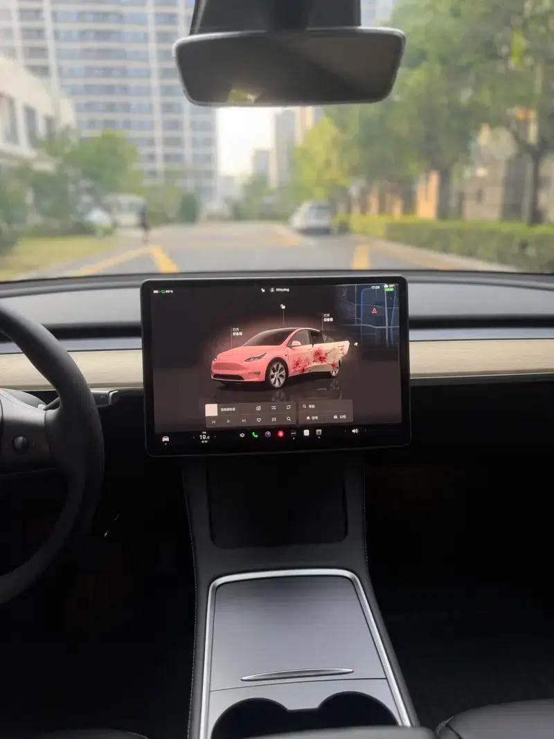 Model Y 2023 Rear-Wheel Drive — миниатюра 11