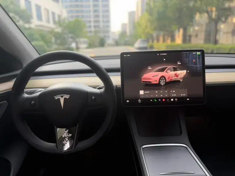 Model Y 2023 Rear-Wheel Drive — миниатюра 15