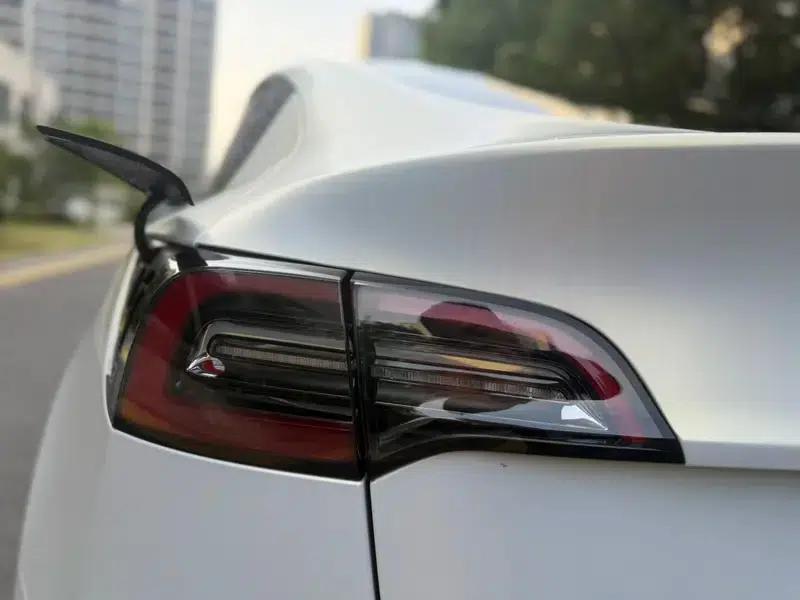Model Y 2023 Rear-Wheel Drive — миниатюра 9