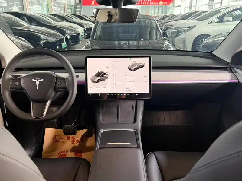 Model Y 2024 Long Range All-Wheel Drive — миниатюра 8