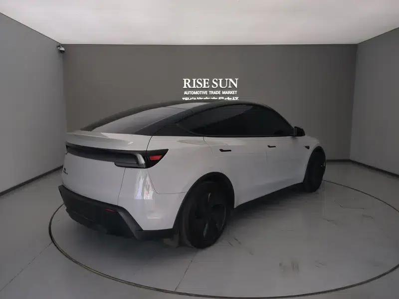 Model Y 2025 Long Range All-Wheel Drive First Edition — миниатюра 6