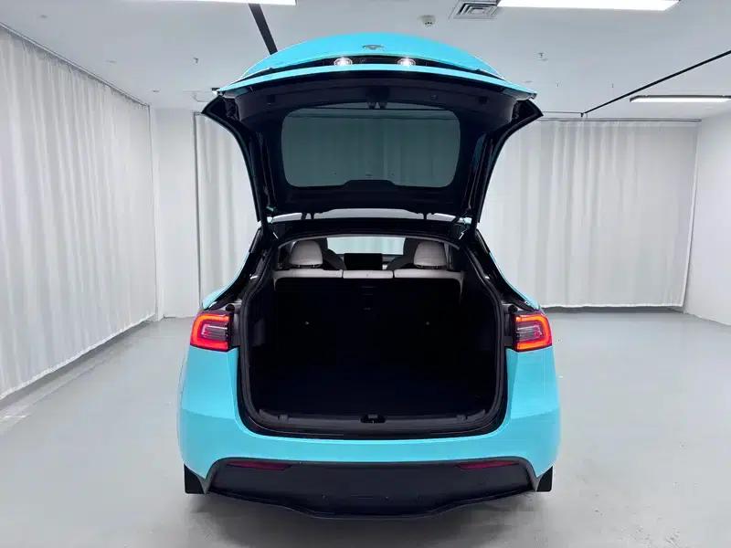 Model Y 2021 Standard Range Rear-Wheel Drive — миниатюра 20