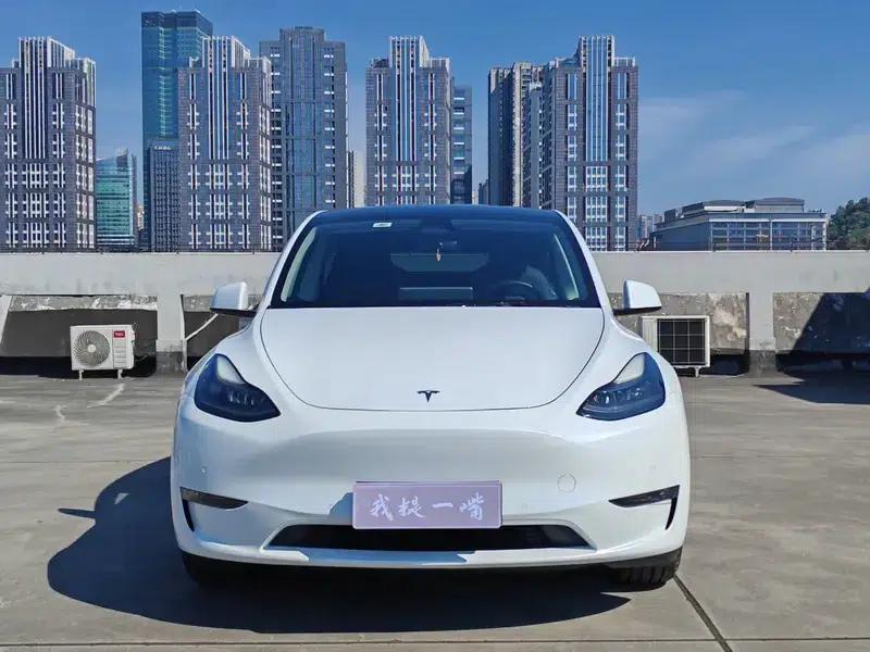Model Y 2021 Standard Range Rear-Wheel Drive — миниатюра 2