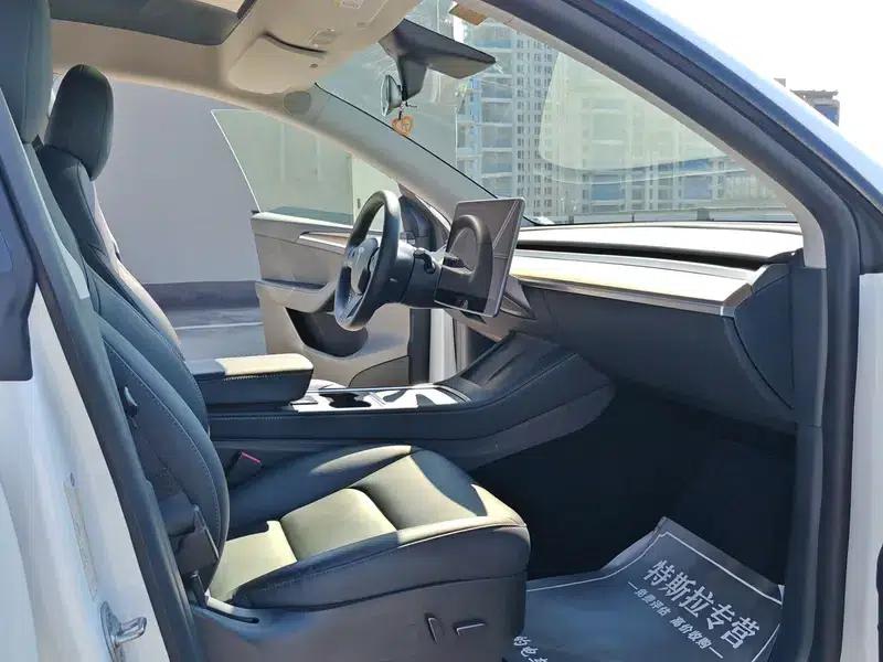 Model Y 2021 Standard Range Rear-Wheel Drive — миниатюра 11