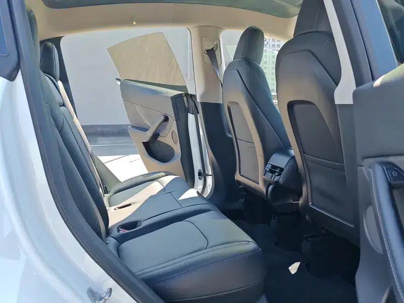Model Y 2021 Standard Range Rear-Wheel Drive — миниатюра 14