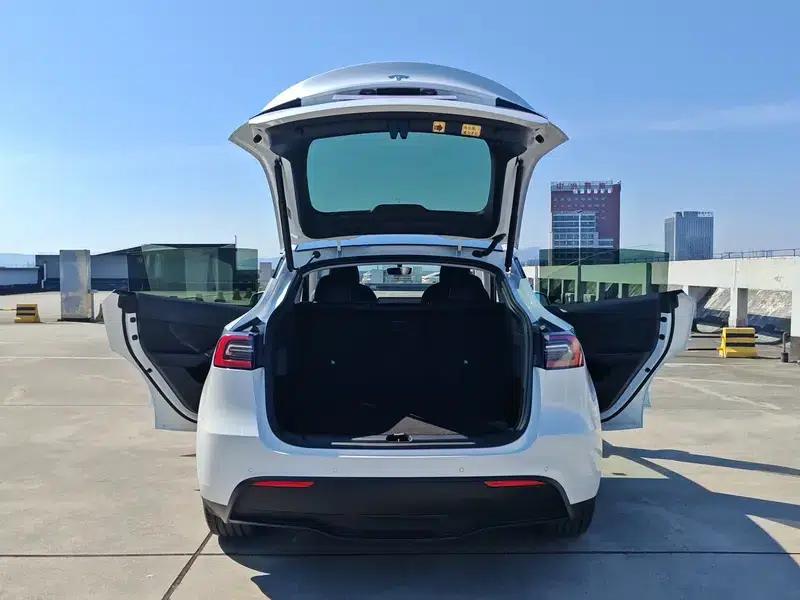 Model Y 2021 Standard Range Rear-Wheel Drive — миниатюра 15