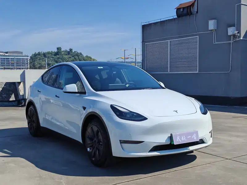 Model Y 2021 Standard Range Rear-Wheel Drive — миниатюра 3