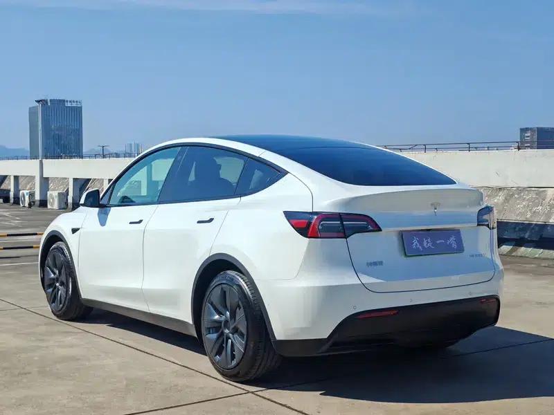 Model Y 2021 Standard Range Rear-Wheel Drive — миниатюра 4