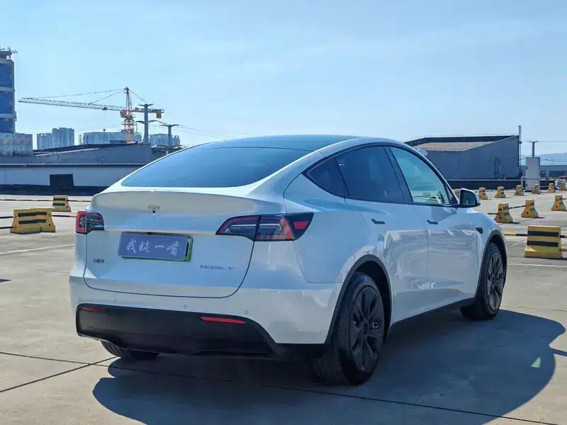 Model Y 2021 Standard Range Rear-Wheel Drive — миниатюра 6